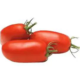 Tomate ALLONGEE TORINO (120g)