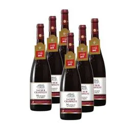 Vin Rouge Loire Saumur (6x75cl)