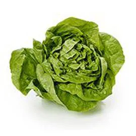 - Salade - Laitue l'unité