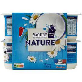 Yaourt nature (12x125g)