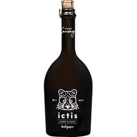 Bière blonde ictis Bio (750ml)