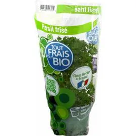 Plant de Persil frisé Bio frais (500ml)