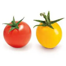 Tomate CERISE panachee (400g)