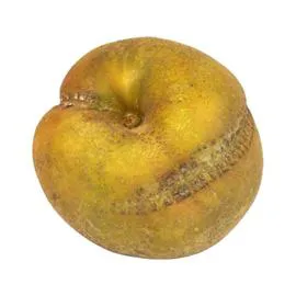 Pomme Patte de Loup vrac Bio Patte de Loup (1kg)