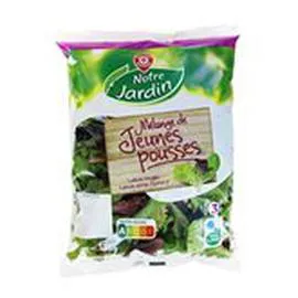 MARQUE REPÈRE, NOTRE JARDIN Salade Jeunes pousses 125g