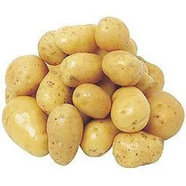 Pomme de Terre CAT 2 (150g)