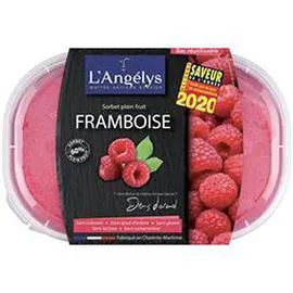 Sorbet plein fruit Framboise (500g)