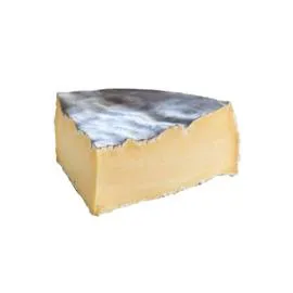 Fromage Saint Nectaire fermier (230g)