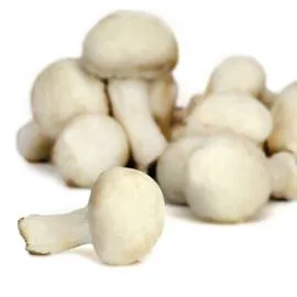 Champignons blancs Bio (250g)