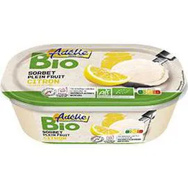 Sorbet plein fruit citron BIO Bio (900ml)