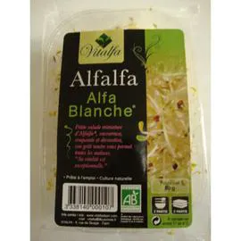 Alfalfa Blanche Graines Germées Certifié AB Bio (50g)