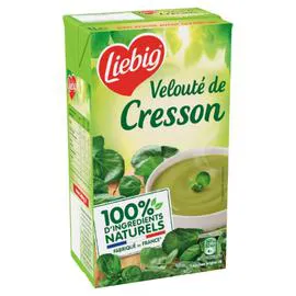 LIEBIG Soupe cresson 1l