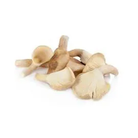 Champignons Pleurotes (200g)