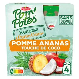 Compotes gourde Recette du monde (4x90g)