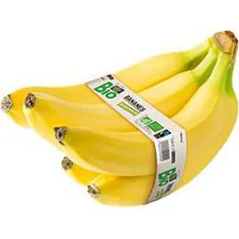 Bananes bio (x5)