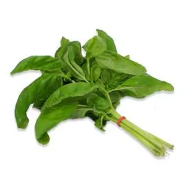 Basilic frais (l'unité)