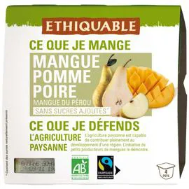Compote mangue pomme poire sans sucre ajouté Bio (4x100g)
