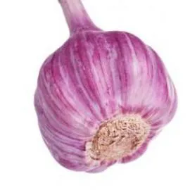 INTERMARCHÉ, LE CHOIX DU PRIMEUR Ail violet l'unité