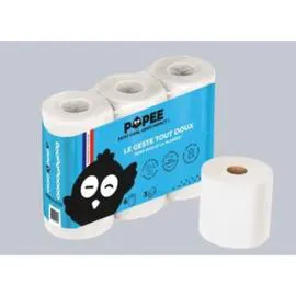 Papier recyclé 3plis (l'unité)