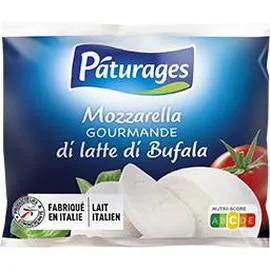 PÂTURAGES Mozzarella gourmande Di Latte Di Bufala 125g