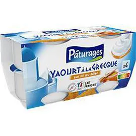 Yaourt à la Grecque sur lit de miel (600g)