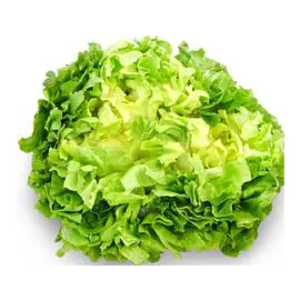 Salade Scarole (l'unité)