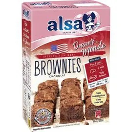 Préparation gâteau brownies (305g)