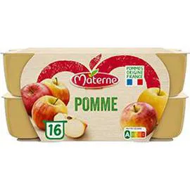 Compotes de pomme (16x100g)
