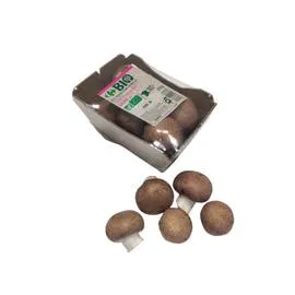 CARREFOUR BIO Champignons bruns Bio 200g