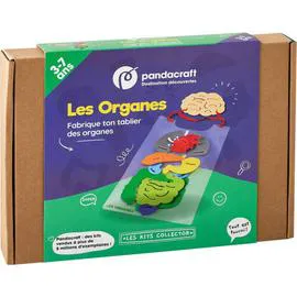 Kit Les Organes de 3 à 7 ans (l'unité)