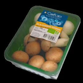 CHAMPIGNON MIX Bio (250g)