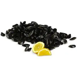 Moules de Bouchot Mont-St-Michel AOP (1,4kg)