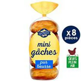 NOS RÉGIONS ONT DU TALENT Mini gâches pur beurre 360g