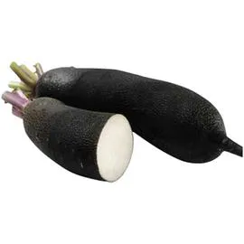 Radis Bio noir (500g)