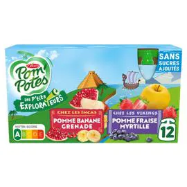 Compote gourde pomme banane grenade (12x90g)
