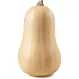 Butternut bio (l'unité)