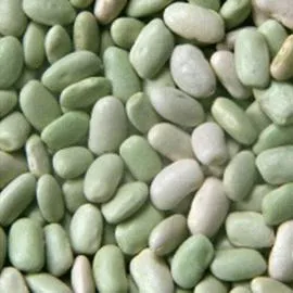 Flageolets Chevriers (500g)