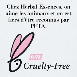 Huile Noix De Coco Et Aloe (100ml)