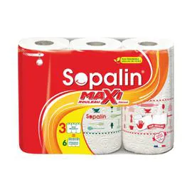 SOPALIN Essuie-Tout decoré x3