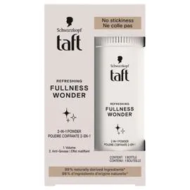 Poudre Coiffante 2en 1 Volume Longue Durée Effet Matifiant (10g)