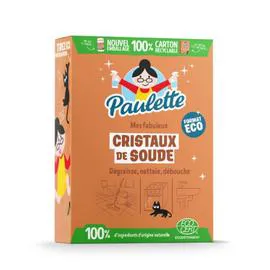 Cristaux de Soude Mes Fabuleux (1kg)