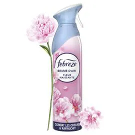 Spray Désodorisant Fleur Naissante (185ml)