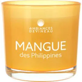 Bougie Mangue des Philippines (l'unité)