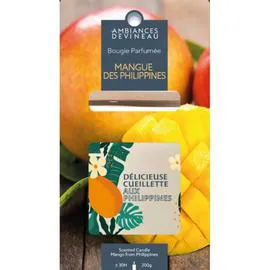 Bougie ovale avec couvercle Mangue des Philippines (l'unité)