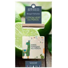 Bougie ovale Verveine citron du Mexique (l'unité)