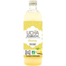 Kombucha Thé Fermenté Pétillant à l'Ananas Bio (75cl)