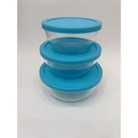 Set de 3 saladiers avec couvercles 0.95/1.5/2.4 Litres