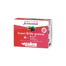 Expert brûle-graisse 4 en 1 guarana cassis artichaut marc de raisin chrome en comprimés (41g)