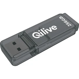 Clé USB 256GO USB 3.2 K103 - Gris
