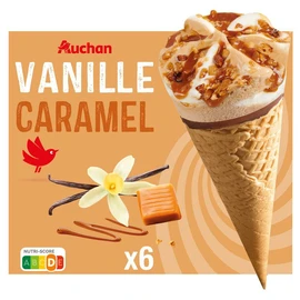 Cônes glacés vanille caramel (420g)